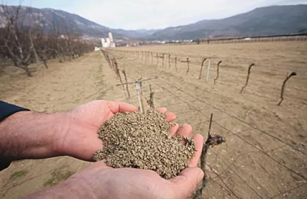 Na Primorskem  kmetje lahko prijavijo škodo v občinah Piran, Izola, Koper, Ilirska Bistrica, Pivka, Postojna, Hrpelje-Kozina, Divača, Sežana, Komen,  Vipava, Ajdovščina, Nova Gorica,  Šempeter-Vrtojba, Renče-Vogrsko, Miren-Kostanjevica in  Brda