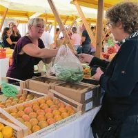  Nekoliko manj kot običajno pa je bilo oljkarjev in vinarjev, ni pa manjkalo sezonskega sadja in zelenjave