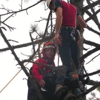 Ponesrečenca dvignejo iz sedeža in ga varno po vrveh spustijo na tla 