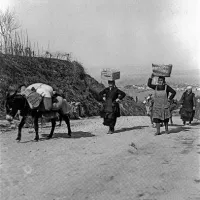 Ugo Pellis: Izola, negativ na steklu, 26. 3. 1932