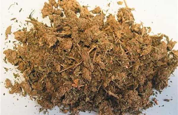 Novogoričanu so zasegli več kot deset kilogramov suhe in delno posušene konoplje
