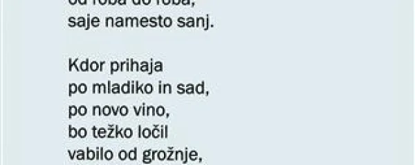 Tihi poet med čudnimi tiči Istre