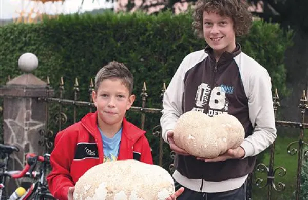 Patrik in Andraž sta našla ogromni prašnici, težki 5,57 in 3,15 kilograma 