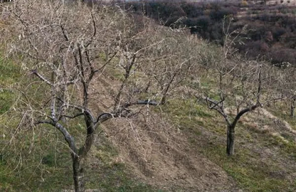 Letošnje leto so označile ekstremne vremenske razmere