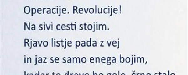 &ldquo;Srečko Kosovel je prvi slovenski pesnik v vesolju&rdquo;