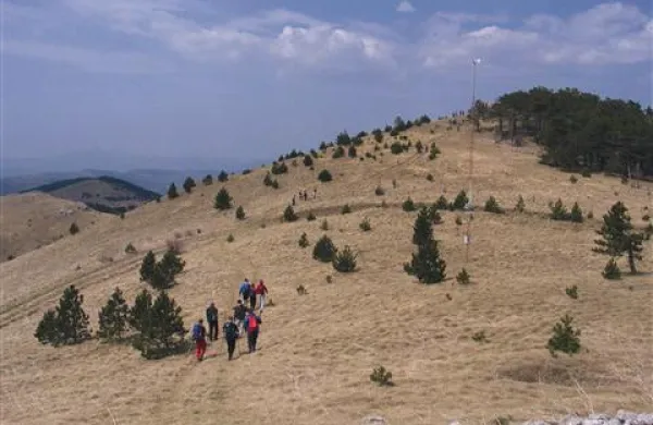 Območje Nature 2000 naj bi do konca leta povečali za dva odstotka