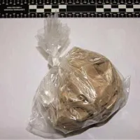 Kriminalist je združbi pomagal z nasveti