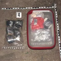 Na slovenski strani so zasegli skupno več kot kilogram heroina in 160 gramov kokaina