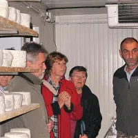 Družina Vidali iz Bazovice izdeluje  deset vrst sirov, ki pa jih sproti prodaja. Povpraševanje celo presega njihove zmogljivosti.   