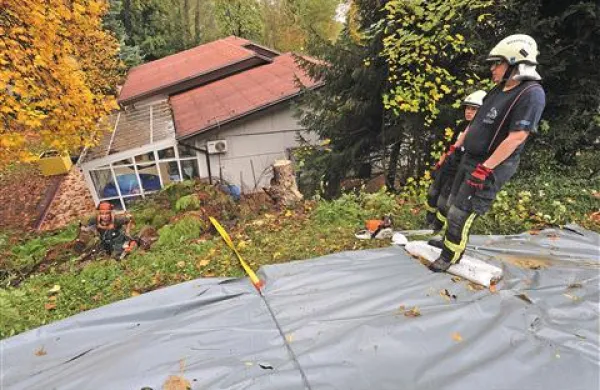 Drevesa, ki so zaradi plazu ogrožala paviljon bolnišnice v Stari Gori, so požagali