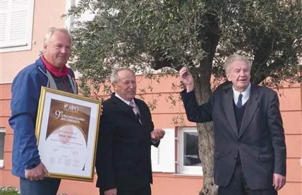 Jadran Jakončič (ki se je pred kratkim z ocenjevanja v Veroni vrnil z veliko plaketo), Elizej Prinčič in starosta briških oljkarjev Bruno Podveršič 