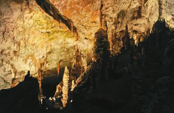 Postojnsko jamo si je letos ogledalo že pol milijona turistov