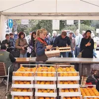 Prodajalci  so kupcem postregli tudi z nasveti, da bodo kakiji najbolje dozoreli, če bodo mednje položili jabolka ali hruške
