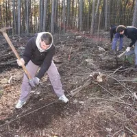 Glavno delo pri saditvi bo opravilo  30 študentov gozdarstva