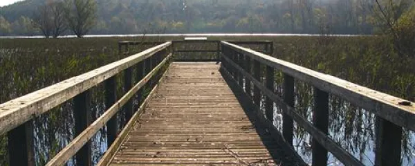 ... takšen pa z mosta pri jezeru  