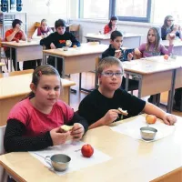 V OŠ Koper od dobavitelja šolske hrane zahtevajo čim več živil slovenskega izvora, v sodelovanju s koprsko Agrario pa izvajajo  tudi projekt Sadna shema 
