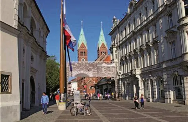 Na  Evropskem pesniškem turnirju v  Mariboru je strokovno žirijo najbolj prepričala pesem Ljudje kot rastline slovenskega pesnika Francija Novaka, ki je postal vitez letošnjega turnirja