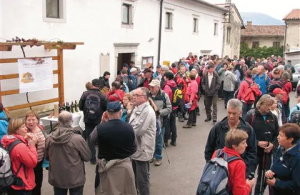 Vipavski griči in vasi Ustje, Planina, Šmarje in Vrtovče so bili včeraj v znamenju  12. pohoda  po Vertovčevih poteh