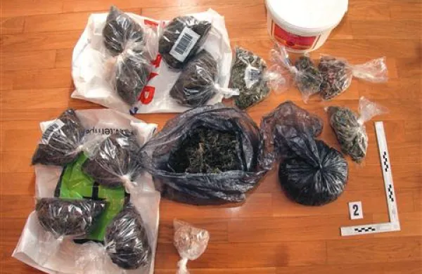 Slovenski policisti  odkrijejo veliko prepovedanih drog  