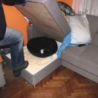Konopljo so skrivali pod kavčem