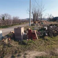 Pogled na urejene istrske vinograde ob cesti v Padni