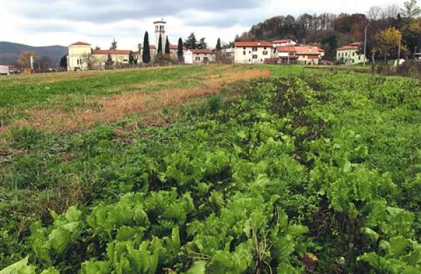 Nekaj več  novih zazidljivih zemljišč, zlasti za hiše, so predvideli na robu Bukovice, južno od glavne ceste skoznjo 