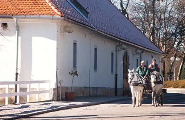 Fotografija je simbolična