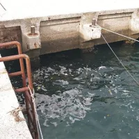 Izpust meteorne kanalizacije je speljan k pomolu v Portorožu