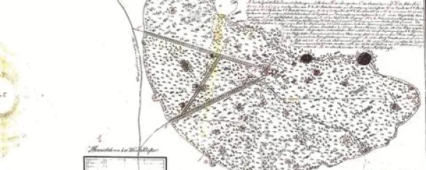  Lipica leta 1817