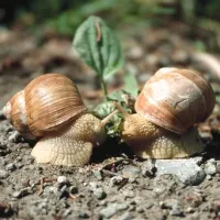 Ž&iacute;vimo v sozvočju z naravo