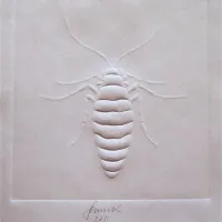 Radko Oketič: Povedke s Kozjanskega: Dva pajceka sta crknla, ZDSLU, 2008