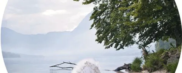 Fotografije iz serije Dear Japan so lahko iztočnica za meditacijo