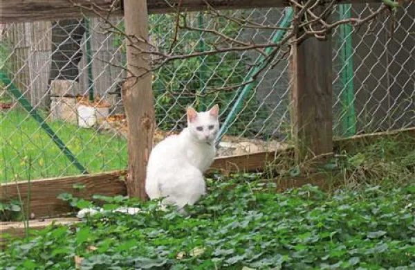 Fotografija je simbolična. Foto: Alenka Penjak