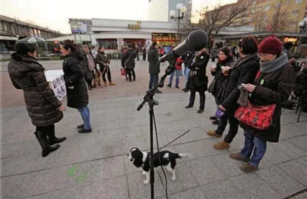 Protestirali so tudi na Bevkovem trgu v Novi Gorici