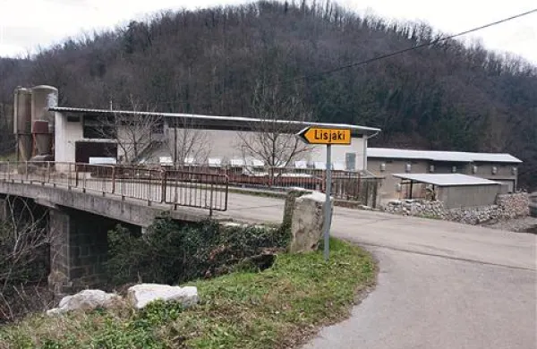 Farma puranov stoji na koncu Spodnje Branice, tik ob naselju Lisjaki