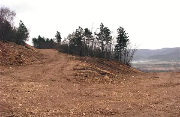Vipavska “gozdna vlaka” za avtodome in avtobuse