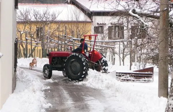 Dopoldne bo od jugozahoda Slovenije spet začelo snežiti, v nižjih predelih Primorske pa deževati