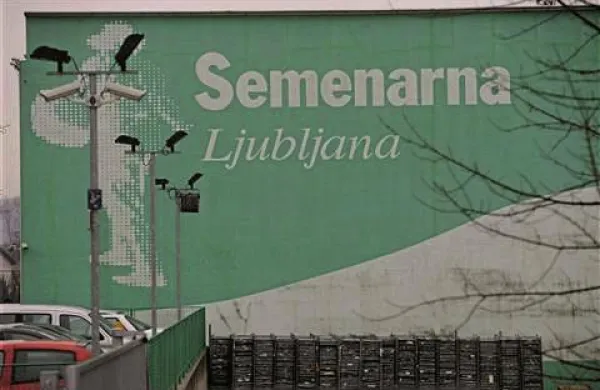Semenarna Ljubljana je pomemben člen oskrbe s hrano v državi, zato bi v primeru stečaja družbe lahko ostali brez semen avtohtonih sort, poudarja Anamarija Slabe z Inštituta za trajnostni razvoj 