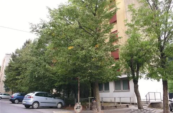 V letu in pol lahko samski dom preuredijo v dom za ostarele 