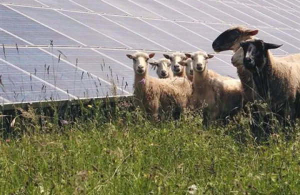 GZS  največ možnosti za vlaganja vidi v učinkoviti rabi energije, infrastrukturi in varstvu okolja
