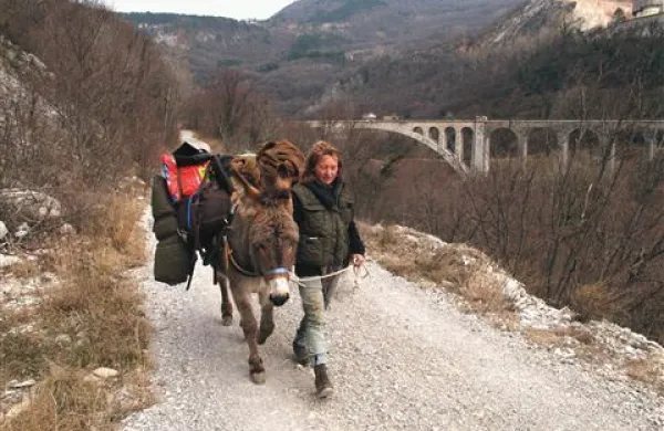 Začetek urejanja  poti se bo zavlekel vsaj za nekaj  mesecev. Po njej se bodo še vedno podajali  takšni in drugačni sprehajalci, ker pa ni zavarovana, se mnogi sprašujejo, kdo bo odgovarjal, če se komu kaj zgodi. 