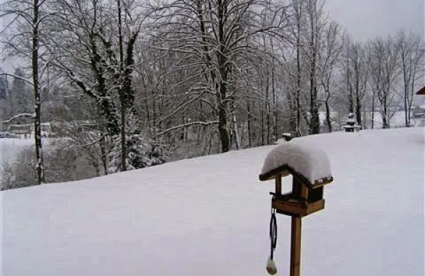 Za danes se obeta krajša prekinitev sneženja. V noči na sredo se bo sneženje od vzhoda začelo ponovno pomikati proti osrednji Sloveniji.