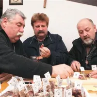 Ocenjevalna komisija je poskusila 28 vzorcev suhih istrskih klobas. Z leve okušajo: Zvonko Sedmak, Miro Tomšič in predsednik komisije  Zorko Vergan