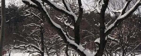 Pomlad je za zdaj &scaron;e daleč