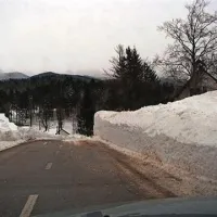 Predmeja