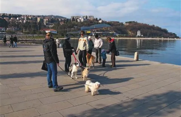Tako so članice KD Obala osveščale sprehajalce na semedelski promenadi
