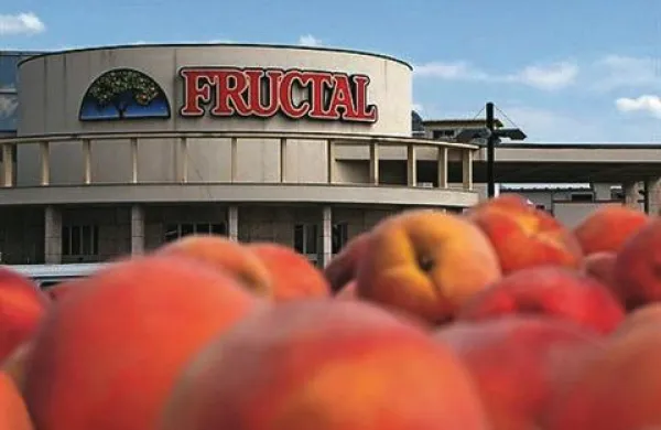Fructal letos ne bo odkupoval vipavskih breskev