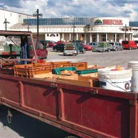 Pred ajdovskim Fructalom, ki je v lasti srbskega Nectarja, letošnje poletje ne bo  kolone tovornjakov, avtomobilskih prikolic in kombijev, naloženih z breskvami    
