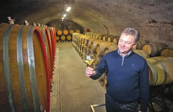 Silvan Peršolja, direktor Vinske kleti Goriška brda