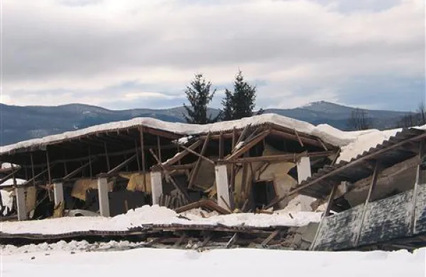 Pod težo snega se je zrušila večina hale za vzrejo piščancev
